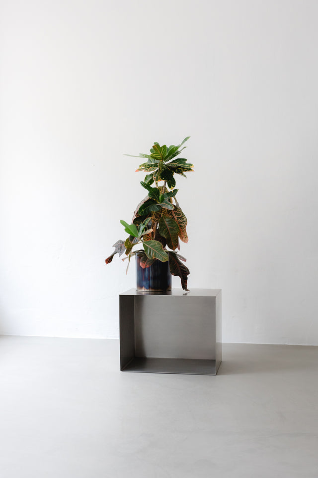 LOTO Burned Blue Iron